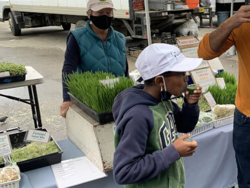 Farmers Market Tour and Seasonal Lunch Cooking Experience - Gallery image