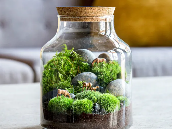 Terrarium Creation Workshop for (Instructor Travels) - Baby Shower in San Francisco - Featured image