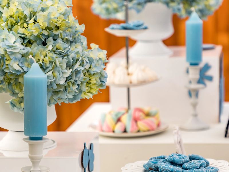 Evening Magic: Cinderella-Themed Fairytale Event Package - Gallery image