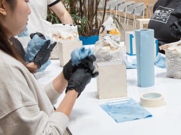 Fungi Biofabrication: Crafting Mycelium Bud Vases