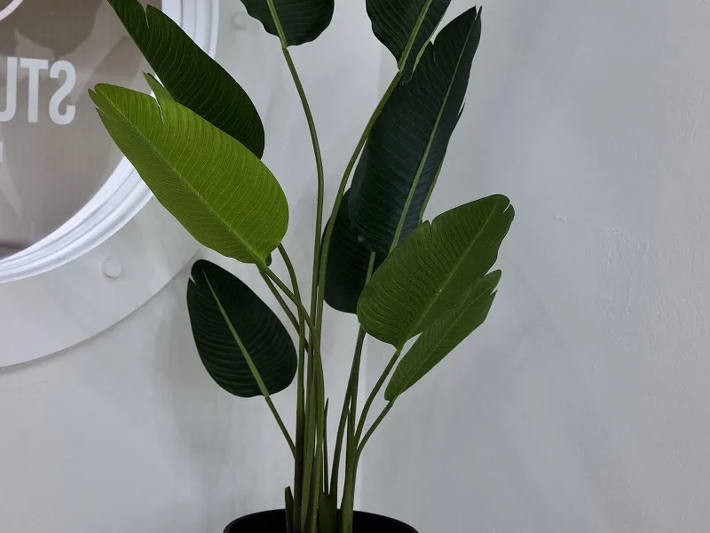 Versatile Event Studio for 50 Guests - Gallery image