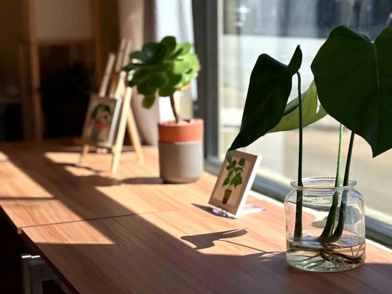 Private Event Space for Gatherings in Inner Sunset - Featured image