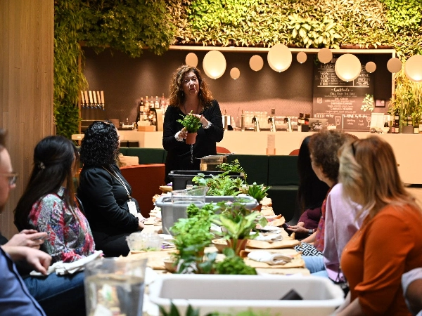 Kokedama creating: TeamBuilding Workshop - Team Building - Featured image