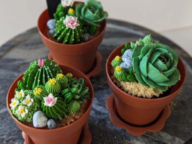 Buttercream Cupcake Decorating Workshop: Succulent Design - Gallery image