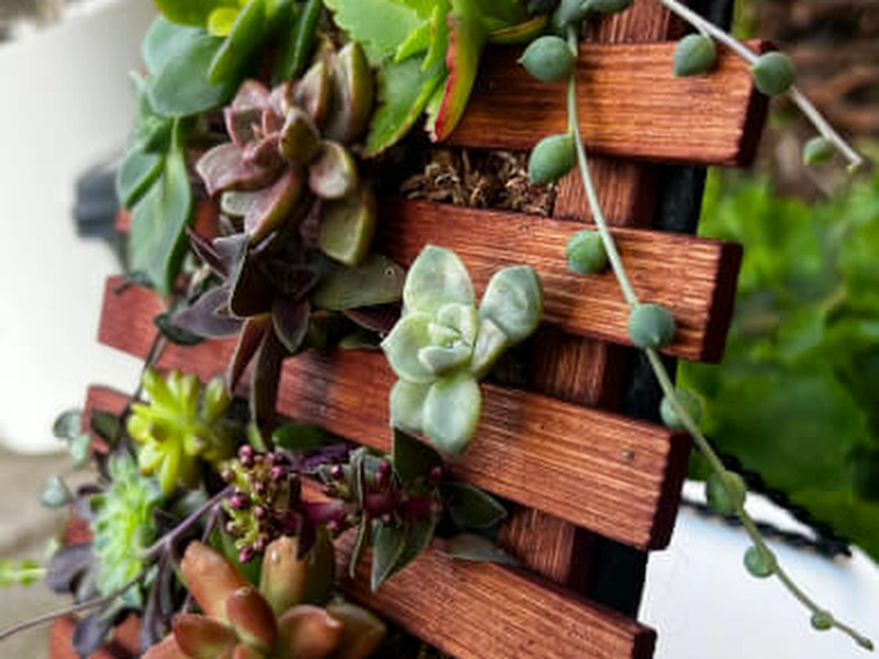 Spring Garden Succulent (Instructor Travels) - Featured image