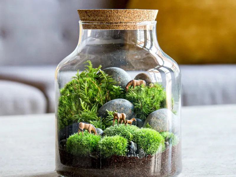 Terrarium Creation Workshop for Team Building - Gallery image