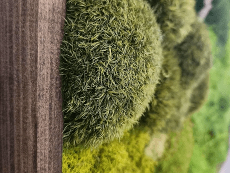 Moss Wall Art Creation Workshop for Team Building - Gallery image