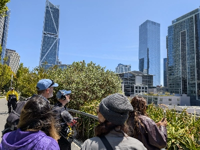 Downtown San Francisco Architecture & Public Art Tour Experiences in San Francisco - Featured