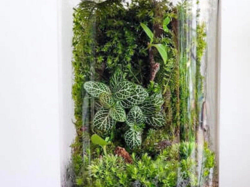 Terrarium Creation Workshop for Team Building - Gallery image