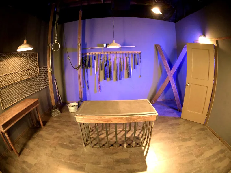 Spacious Photo & Video Studio for Gatherings in Fruitvale - Gallery image