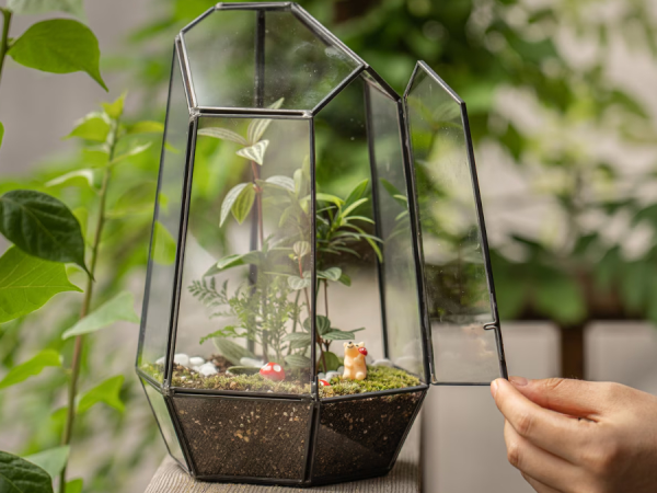 Wardian Case Terrarium Workshop