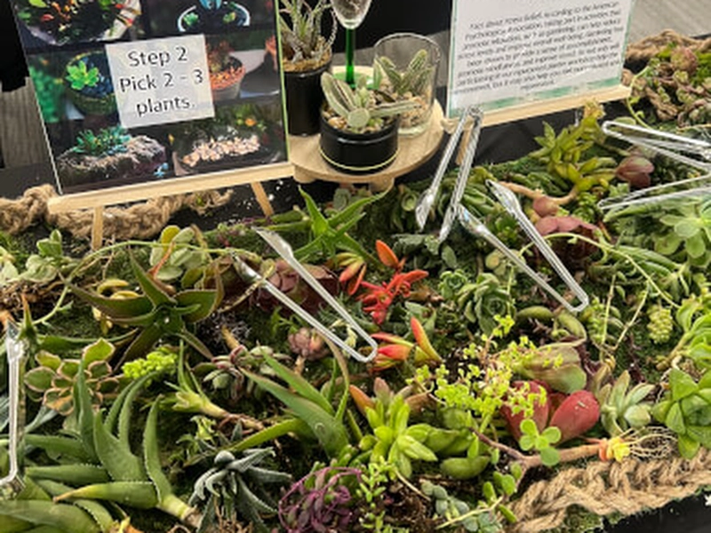 Spring Garden Succulent (Instructor Travels) - Gallery image