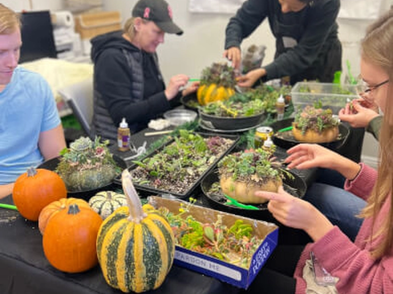 Succulent Pumpkin Workshop for Creative Team Building - Gallery image