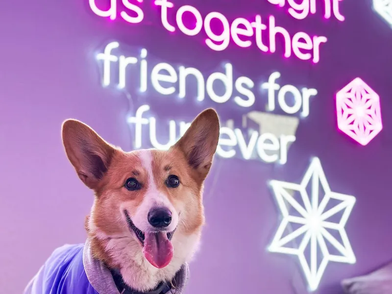 MISHKA Private Event Lounge - Gallery image