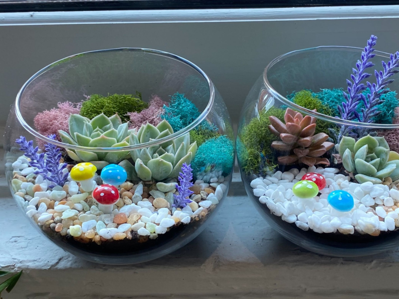 Virtual Team Succulent Terrarium Workshop - Gallery image