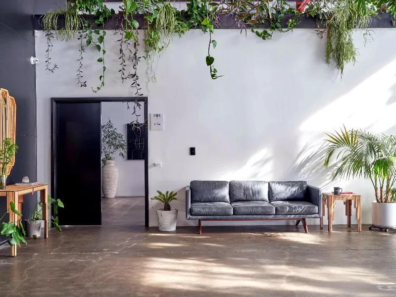 Meeting Room with Natural Light for Events in Berkeley - Gallery image