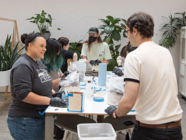 Fungi Biofabrication: Crafting (Instructor Travels)