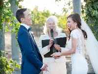 Vendor profile