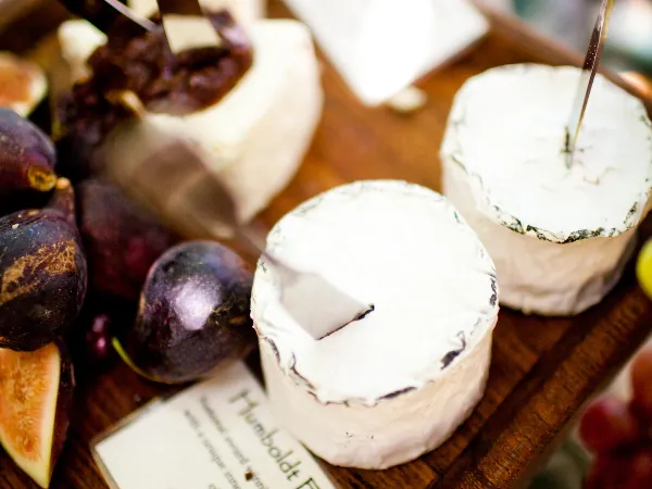 Light Hors d'Oeuvres and Bounty Reception for Wine Country - Anniversary - Featured image