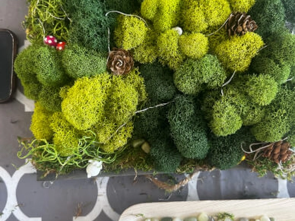 Moss Wall Art Creation Workshop (Instructor Travels)