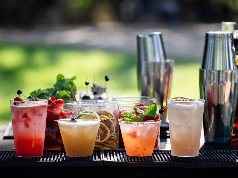 Corporate Mobile Bar Service for Networking and Holiday Parties - Gallery image