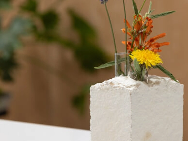 Fungi Biofabrication: Crafting (Instructor Travels)