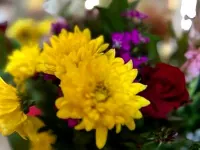 Vendor profile