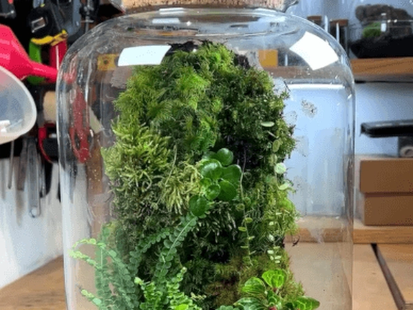 Terrarium creation workshop bachelorette party