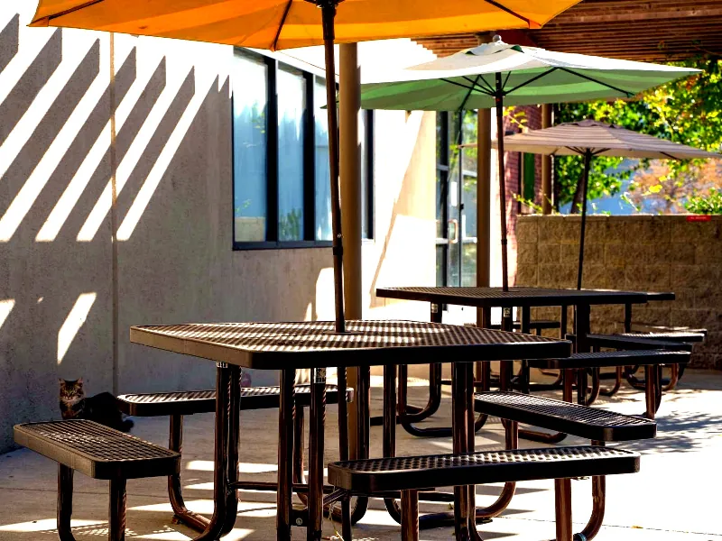 Intimate Photo & Video Studio for Events in Baylands - Featured image