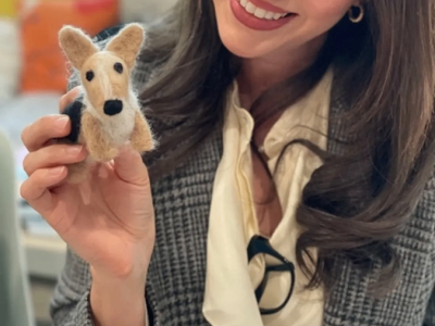 Needle-Felting Workshop: Create Your Own Pet Sculpture! Experiences in San Francisco - Featured