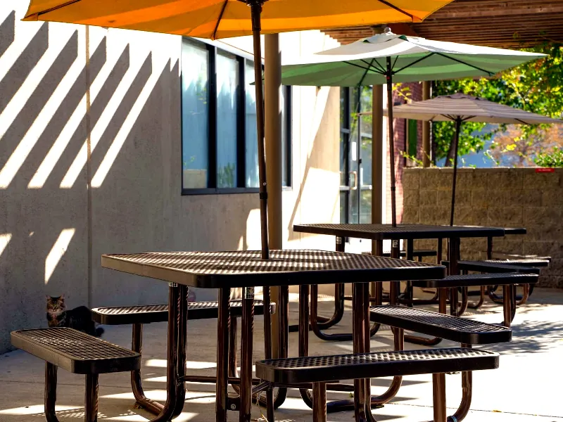 Intimate Photo & Video Studio for Events in Baylands - Featured image