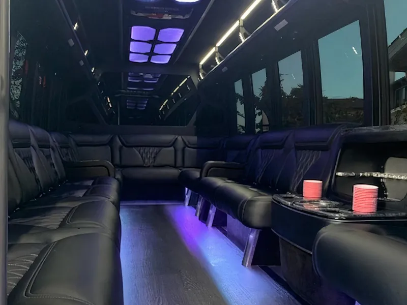 Luxury Mobile Party Experience - Gallery image