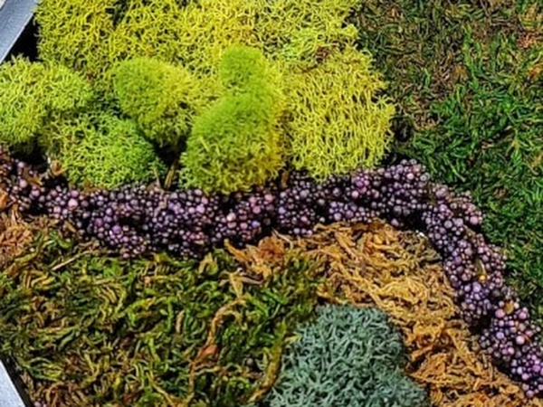 Moss Wall Art Creation Workshop (Instructor Travels)