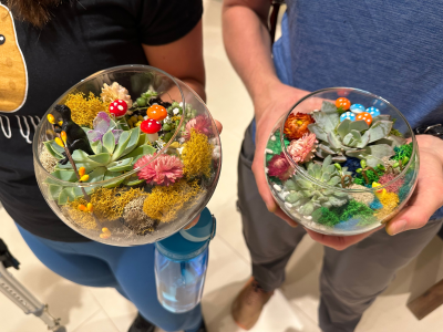 Dig In: Make Your Own Succulent Terrarium Experiences - Featured