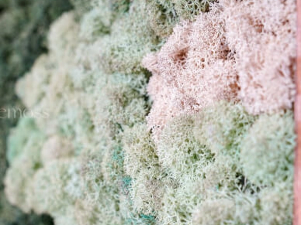 Moss Wall Art Creation Workshop (Instructor Travels)
