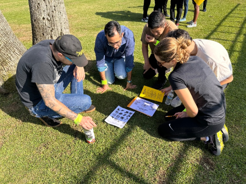 Amazing Race - Gallery image