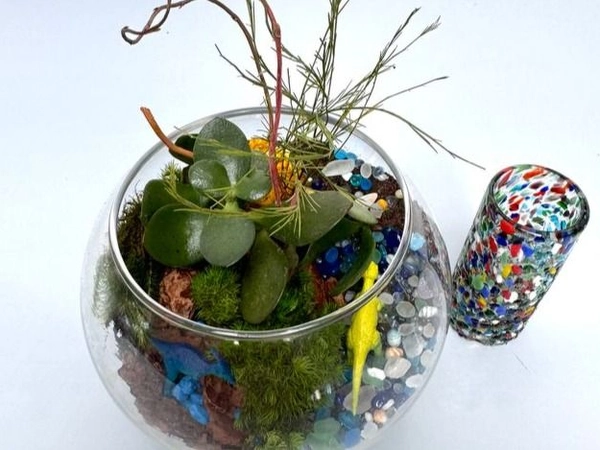 Terrarium & Sip Workshop: Tequila or Wine Edition - Team Building in San Mateo - Featured image