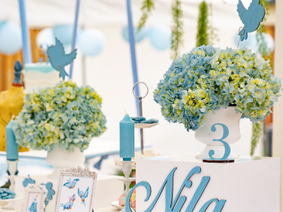 Evening Magic: Cinderella-Themed Fairytale Event Package Experiences - Featured