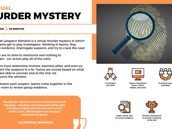 Virtual Murder Mystery