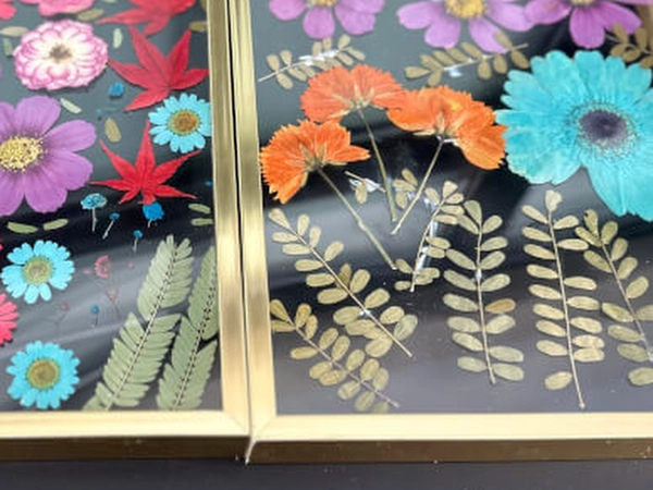 Pressed Flower Frame Artistry (Instructor Travels)