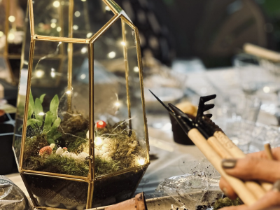 Sip & Terrarium Workshop in San Francisco or Experiences in Redwood City - Featured