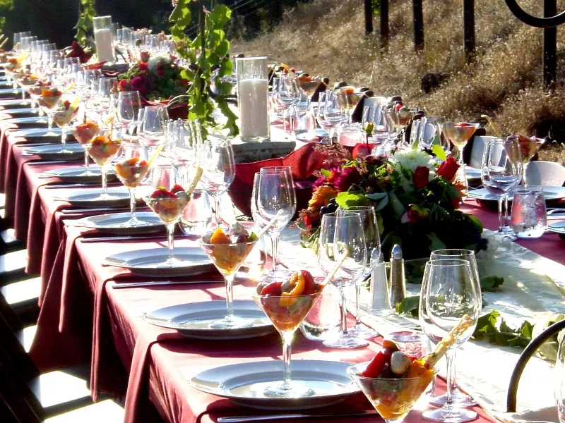 Garden Wedding All Inclusive Reception Stations And Light - Featured image