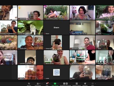 Virtual Self Sustaining Ecosystem Terrarium Workshop Experiences - Featured