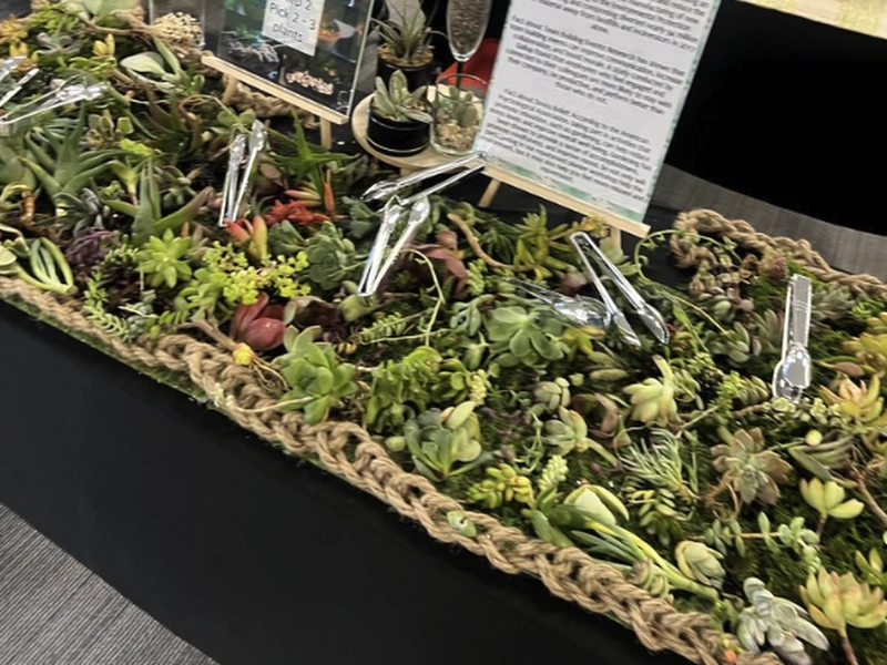 Succulent Arrangement Workshop for (Instructor Travels) - Gallery image
