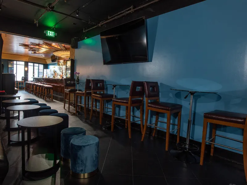 Private Karaoke Entertainment Room with Full Bar - Gallery image