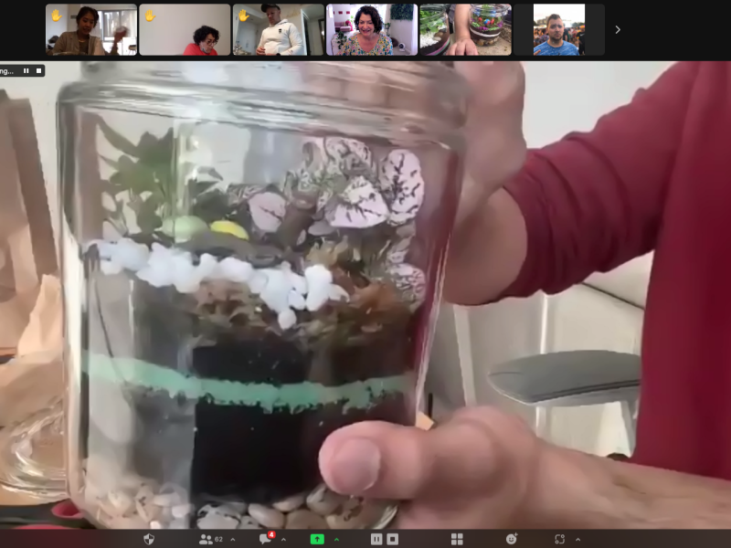 Virtual Self Sustaining Ecosystem Terrarium Workshop - Gallery image