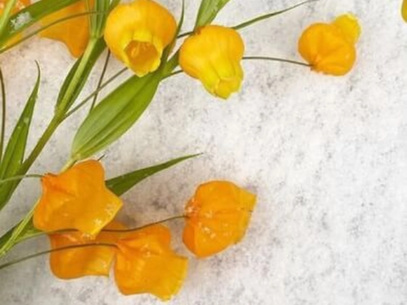 Advanced Floral Design Workshop for Team Building - Gallery image