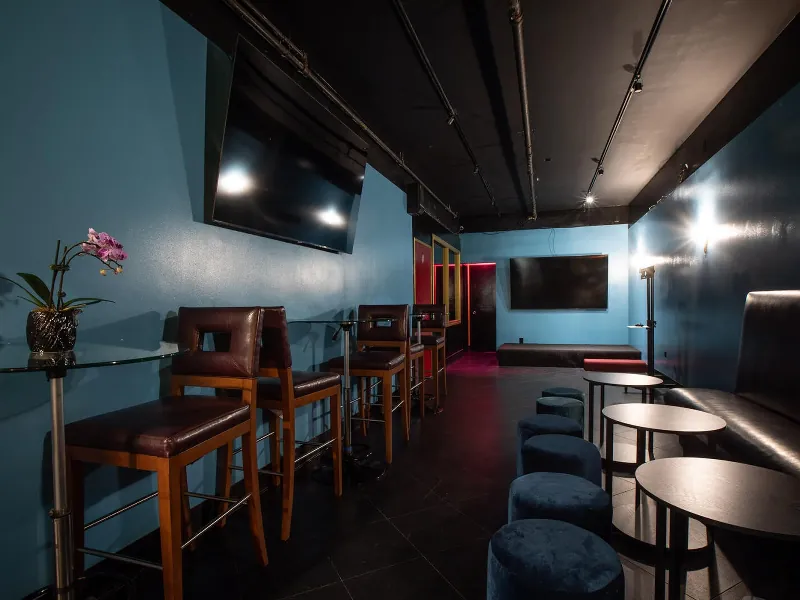 Private Karaoke Entertainment Room with Full Bar - Gallery image