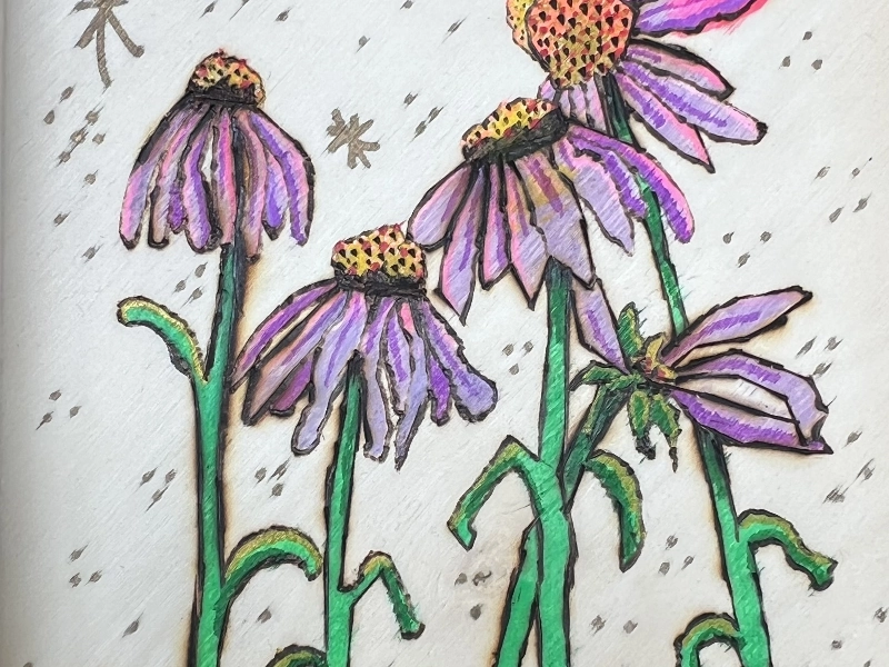 Pyrography, Hands-On Wood Burning Workshop - Gallery image