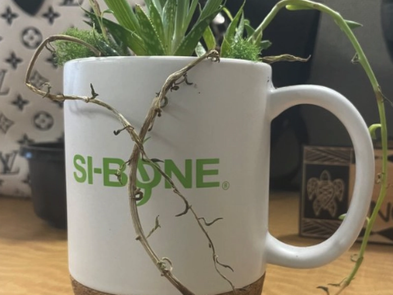 Succulent Arrangement Workshop for (Instructor Travels) - Gallery image